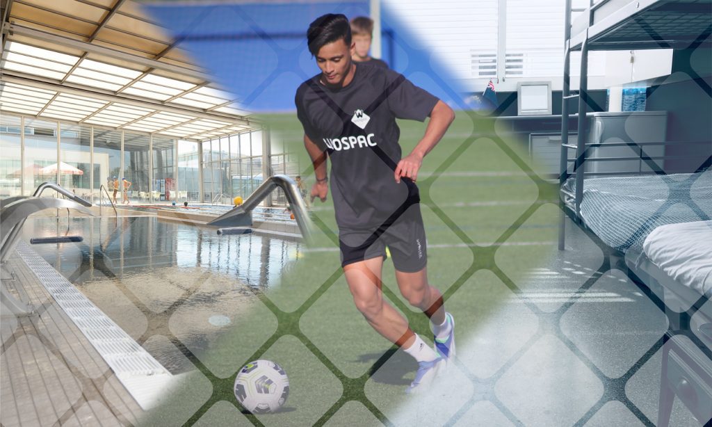 summer camp Pro preseason
