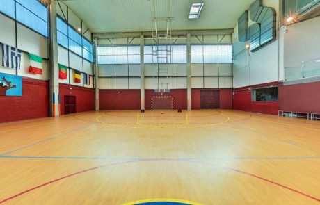 Basket_AGORA_baja Basket AGORA baja