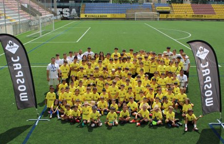 WOSPAC Teams field group WOSPAC Teams field group